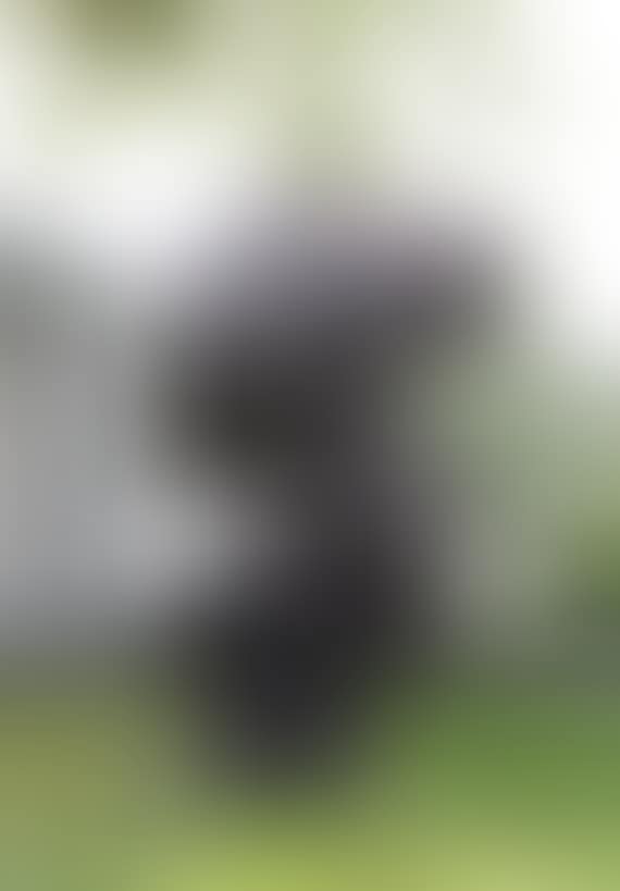 Point of View (preview)