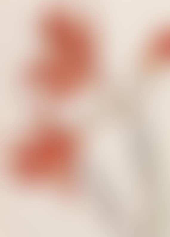 Roter Amaryllis (preview)