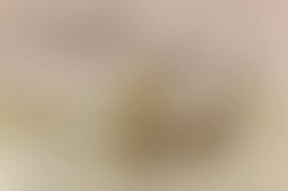 Pferd mit Fohlen (preview)