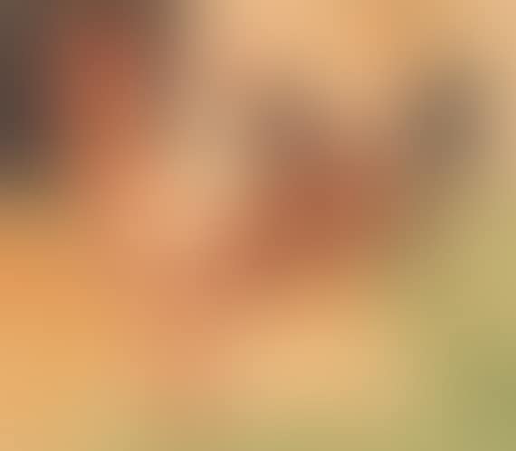 Hahn und Huhn (preview)