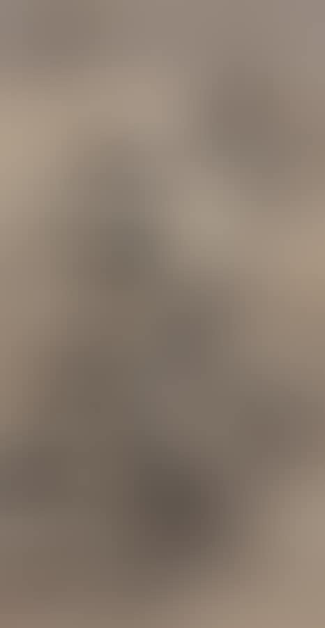 LANDSCAPE (preview)