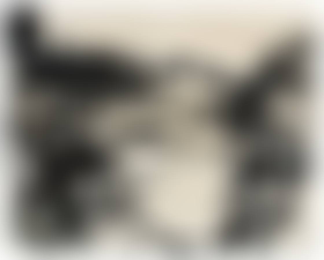 Sans titre (preview)