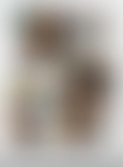 Untitled (JSC09265) (preview)