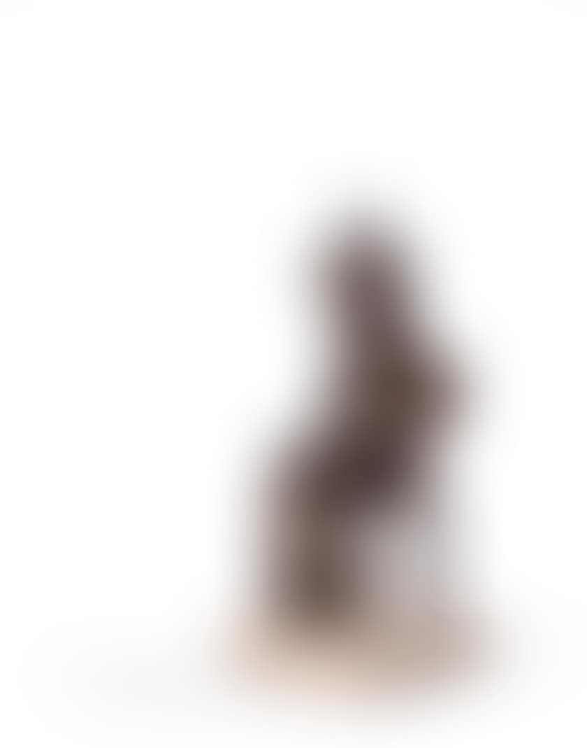 Don Quixote Seated (preview)
