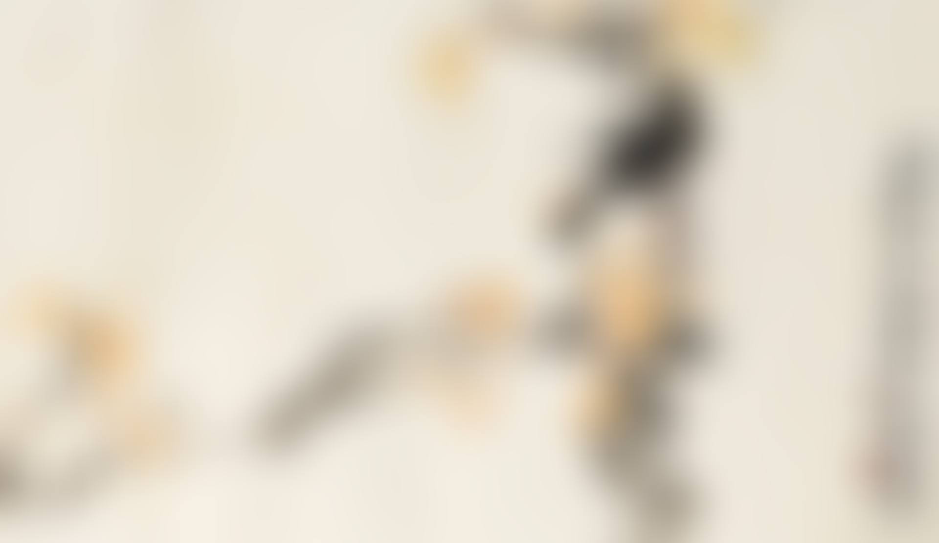FLOWER AND BIRD (preview)