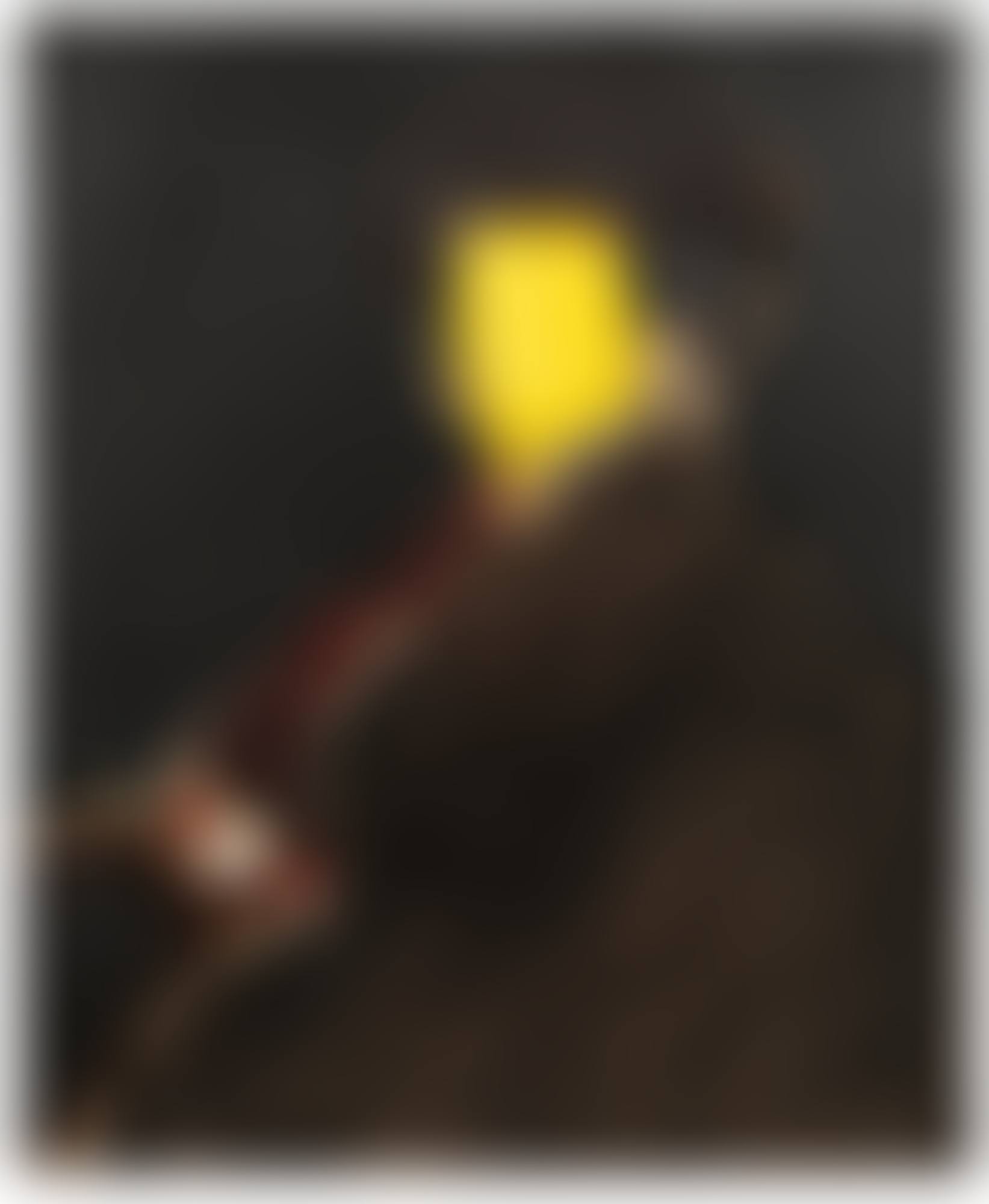 LA PALETA DE REMBRANDT (preview)