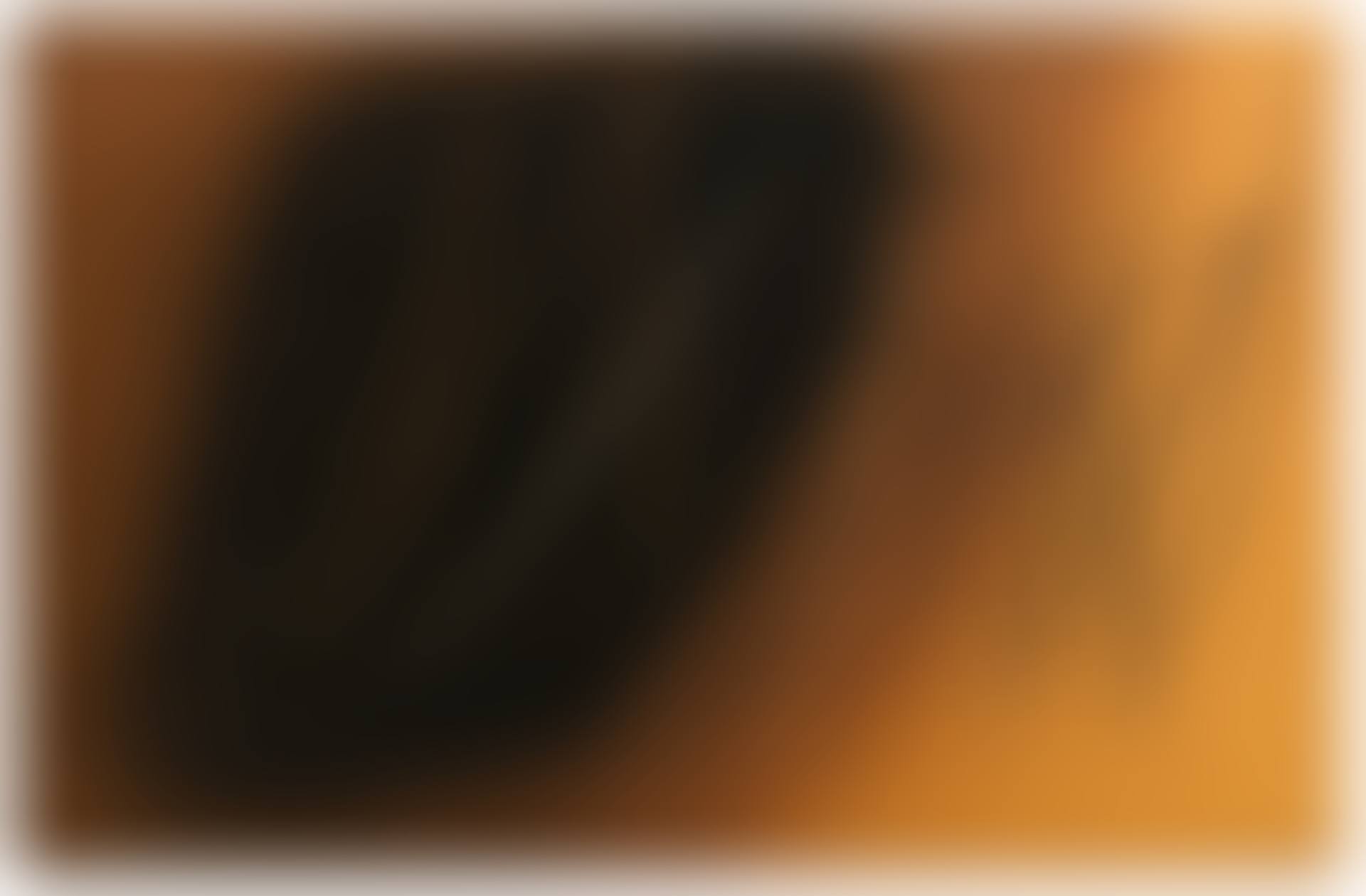 T1961-H10 (preview)