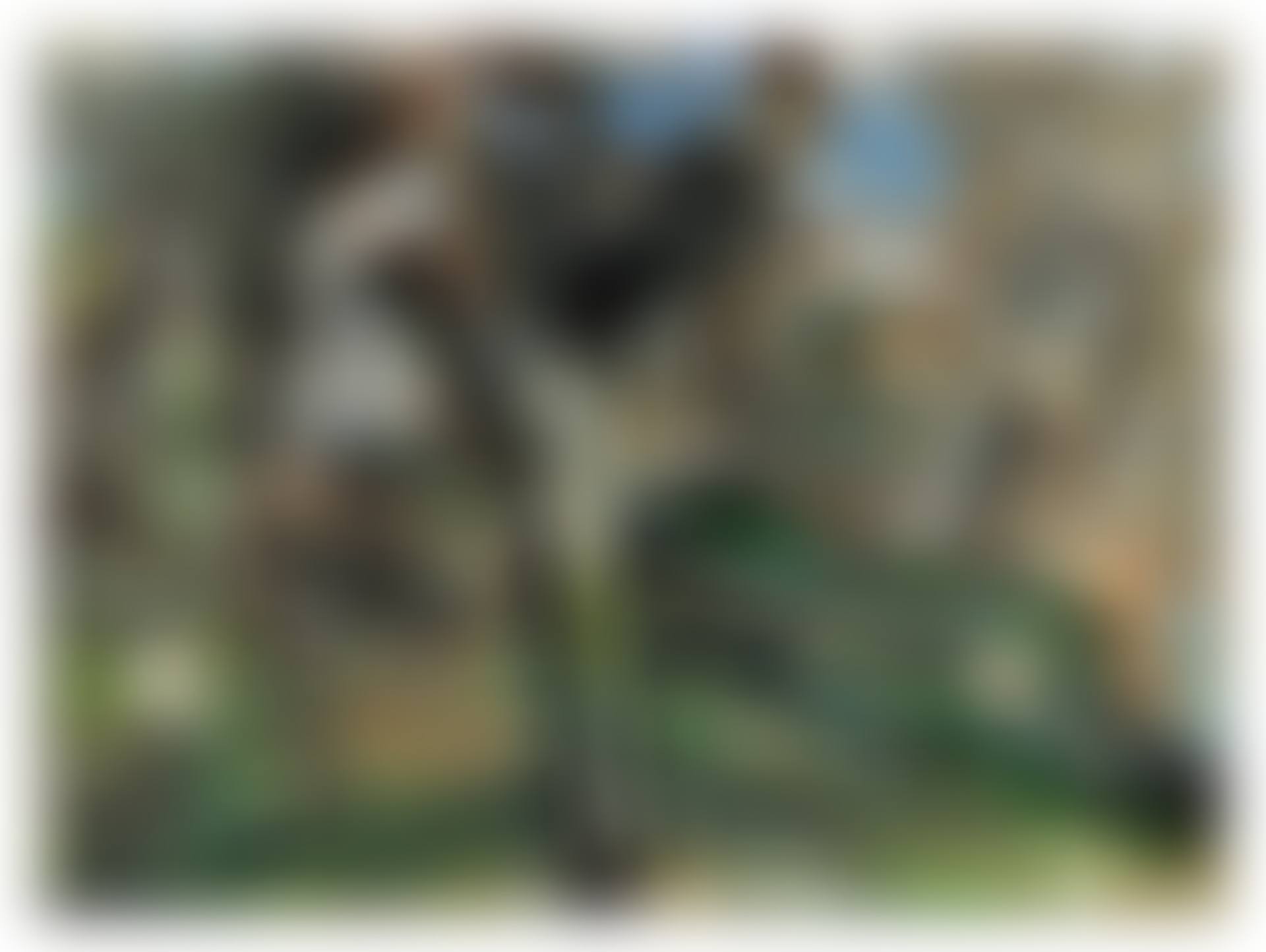 L'ARBRE EN LARGEUR (preview)
