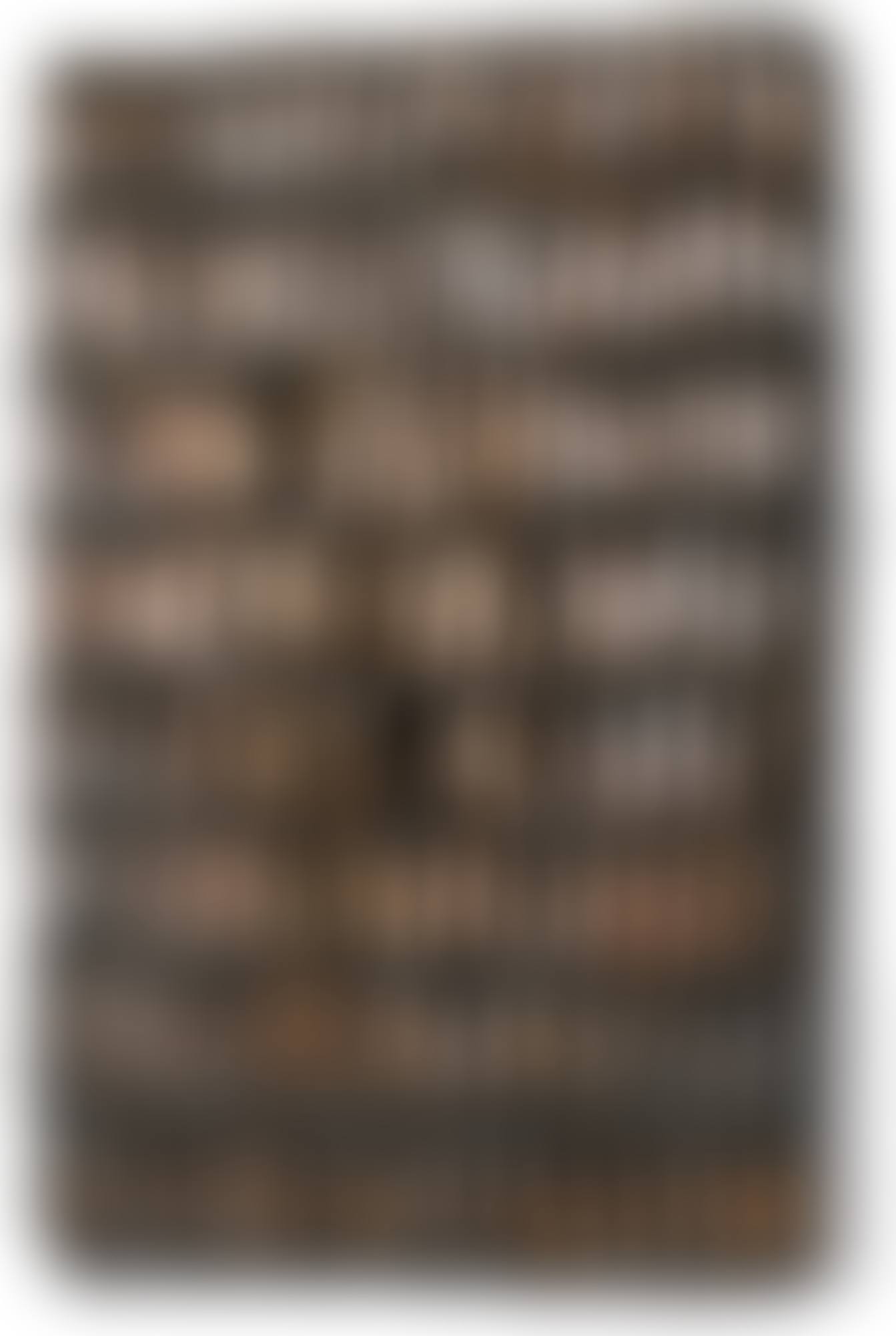 PLAQUE À AILETTES (preview)