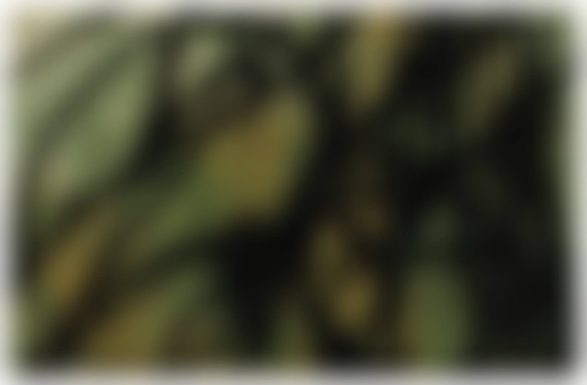 T1989-L4 (preview)