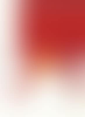 “Rythmes des Calanques III”, 2009 (preview)