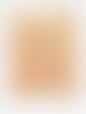 Untitled, 2009 (preview)