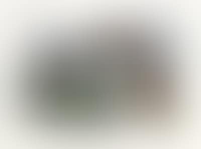 “Nature morte au Crâne”, 1960 (preview)