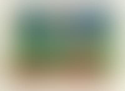 (Vienna 1928-2000 Pacific Ocean (preview)