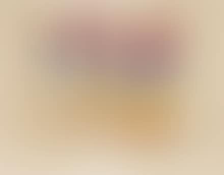 Progetto per paravento (preview)
