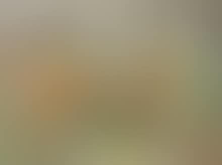 Composition (Topo Lame) (preview)
