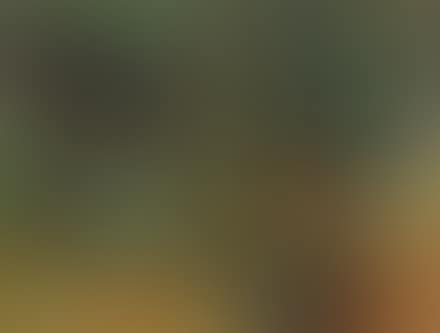 Nel giardino (preview)