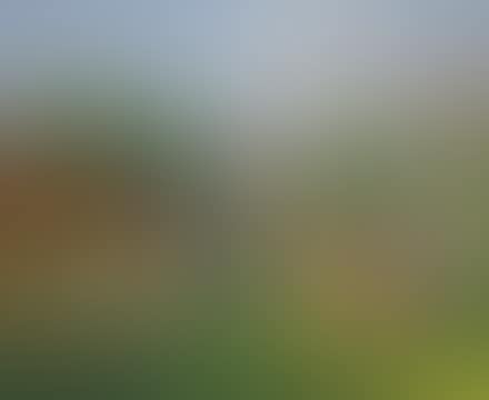 Primavera (preview)