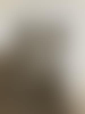 Paul and Nusch Eluard (preview)