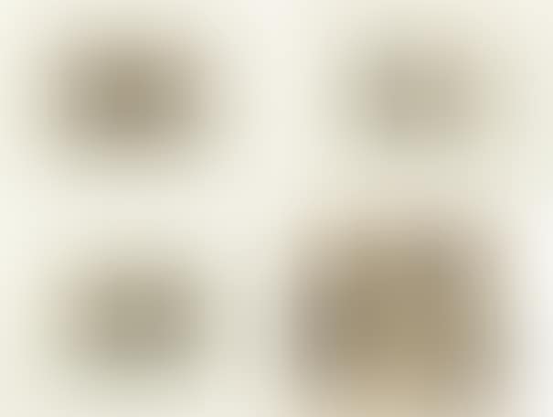 Baedeker (Dogana); Baedeker (Pensione); Baedeker (Cambio); and Untitled (preview)