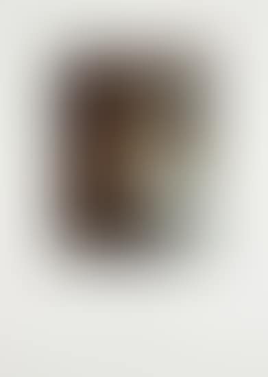 Polaroid Portrait: Max Ernst 18.3.73 (preview)