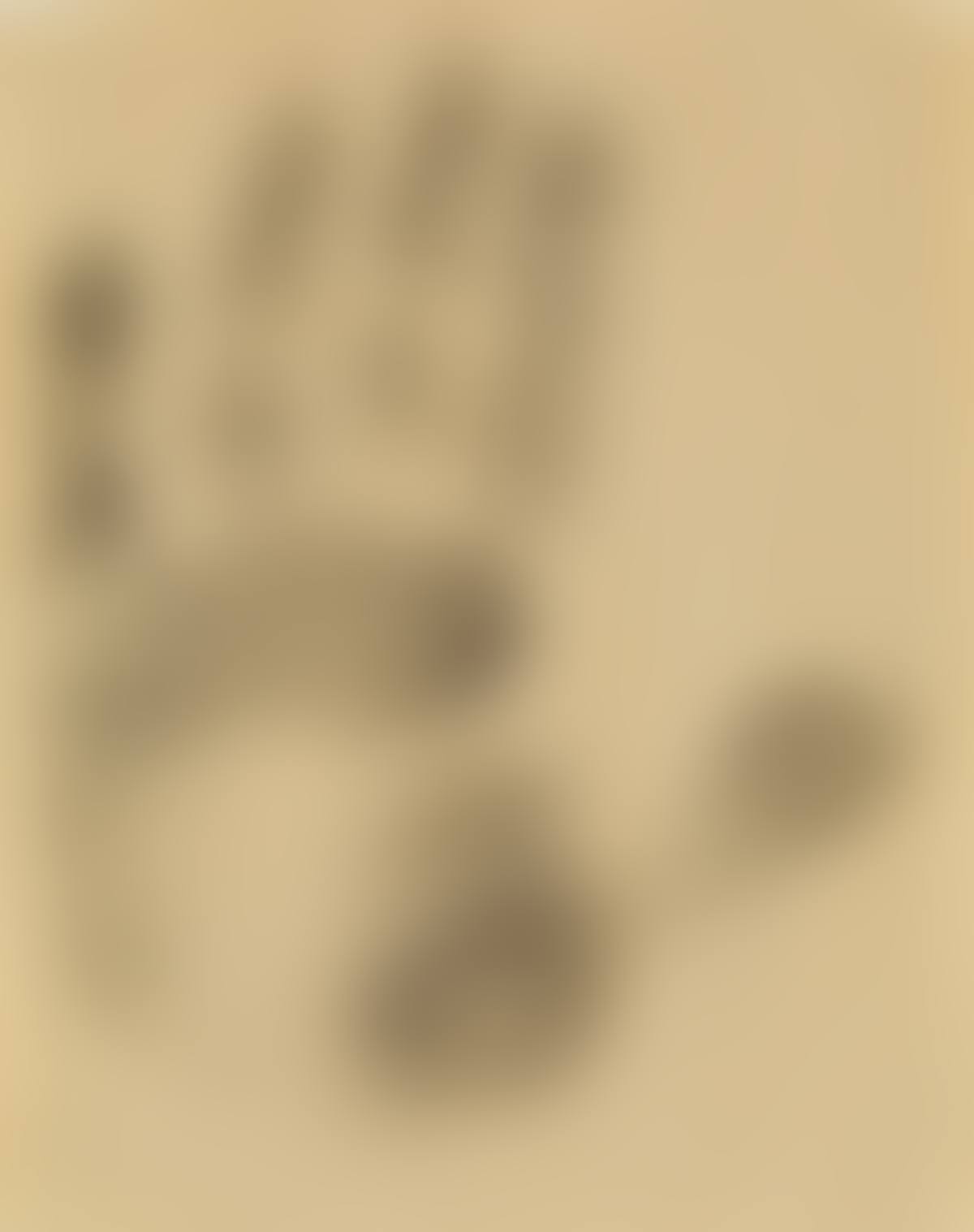 Handprin (preview)