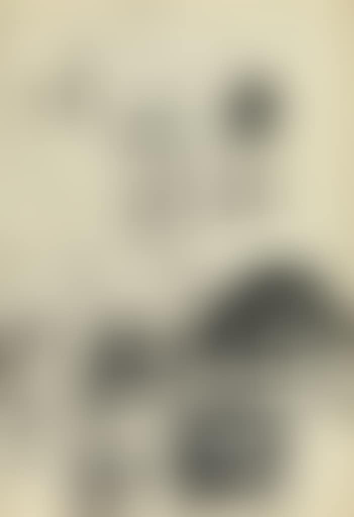 Symphony Concerto (preview)