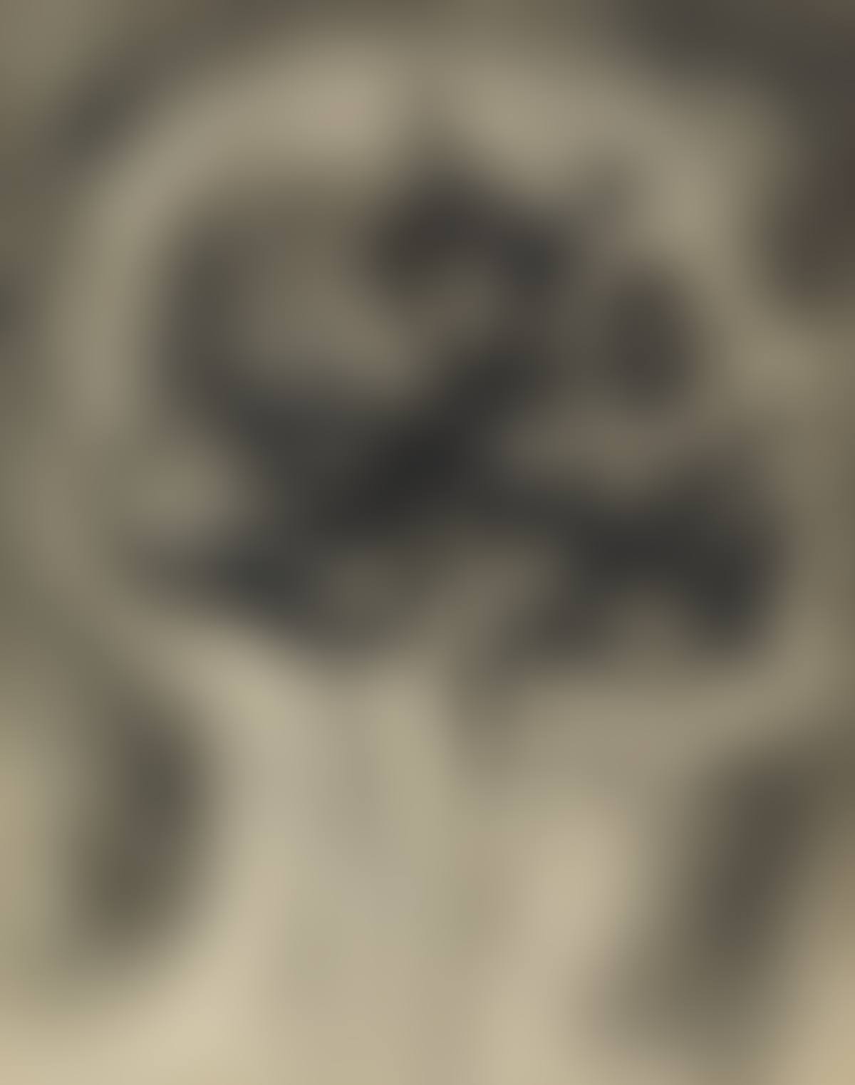 Interiors (skull) (preview)