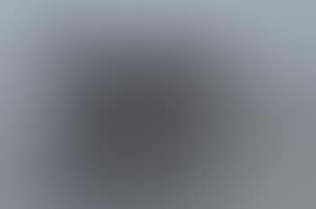 Panthere (preview)