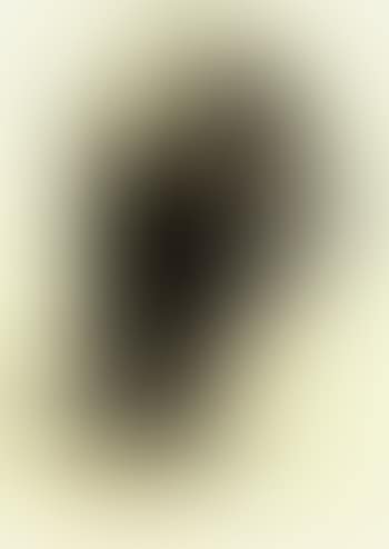 PM1961-54 (preview)