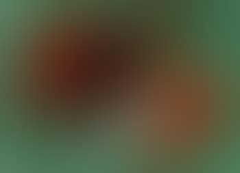 Composition rouge sur fond vert (preview)