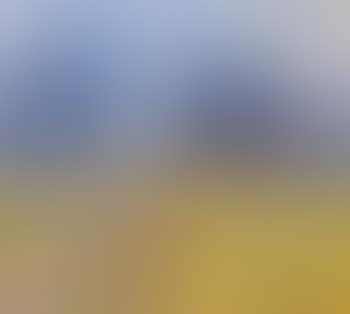 Country lane (preview)