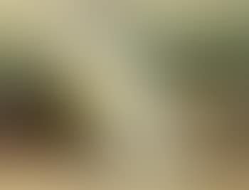 Two women on the terrace (preview)