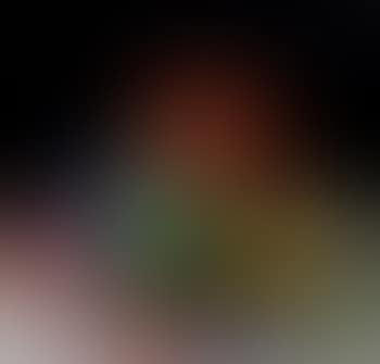 Frog (preview)