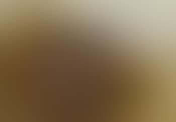 Mallard duck (preview)