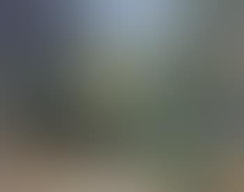 Paysage du sud (preview)