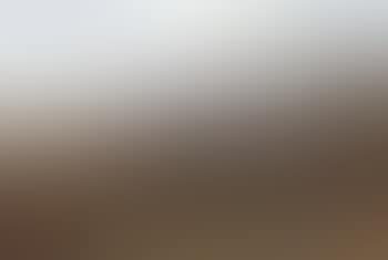 Red grouse, Spaunton Moor, North Yorkshire (preview)
