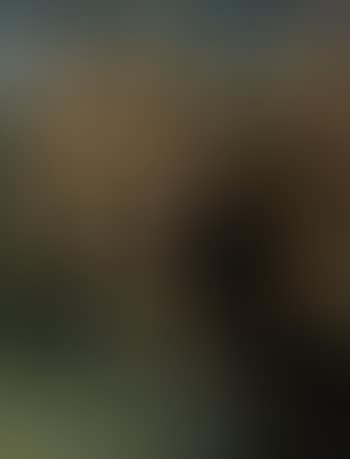 Jesus carrying the cross (preview)