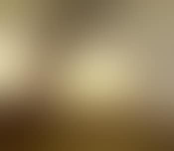 Windswept trees (preview)