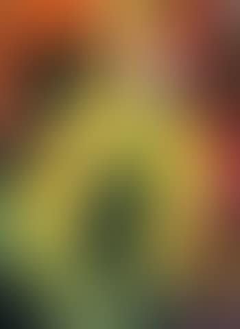 Sunflowers (preview)