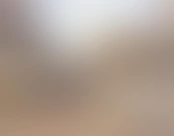 Stift Melk (preview)