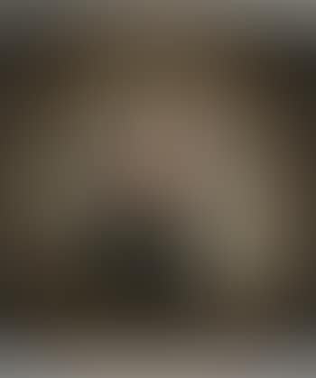 Portrait of Herr von Ehrenburg (preview)