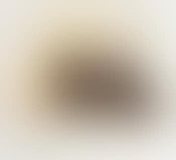 Particularly revolting dog glowing under the impression that it is man's best friend (preview)