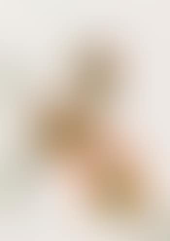 Owl (preview)