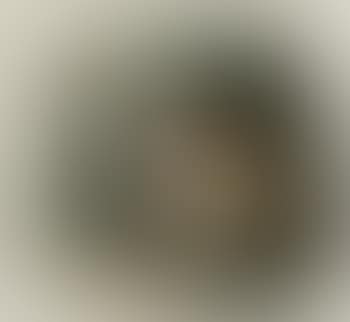 Retarded ape happy in the knowledge that it is the ancestor of man (preview)