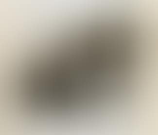 Banderilles (preview)