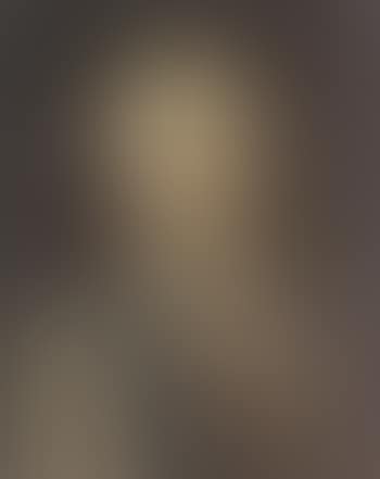 Portrait of the Duke of Parma. Portrait of lady (preview)