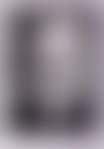 Portrait de Vollard (preview)