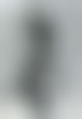 Nine views of winter (preview)