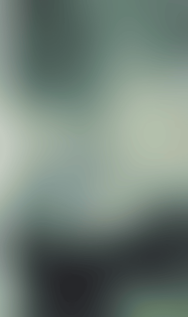 La saule est ombre (preview)